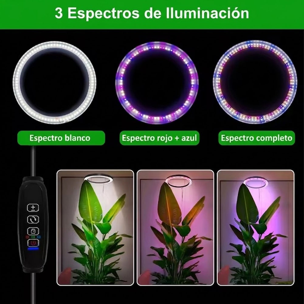 PlanTeraa