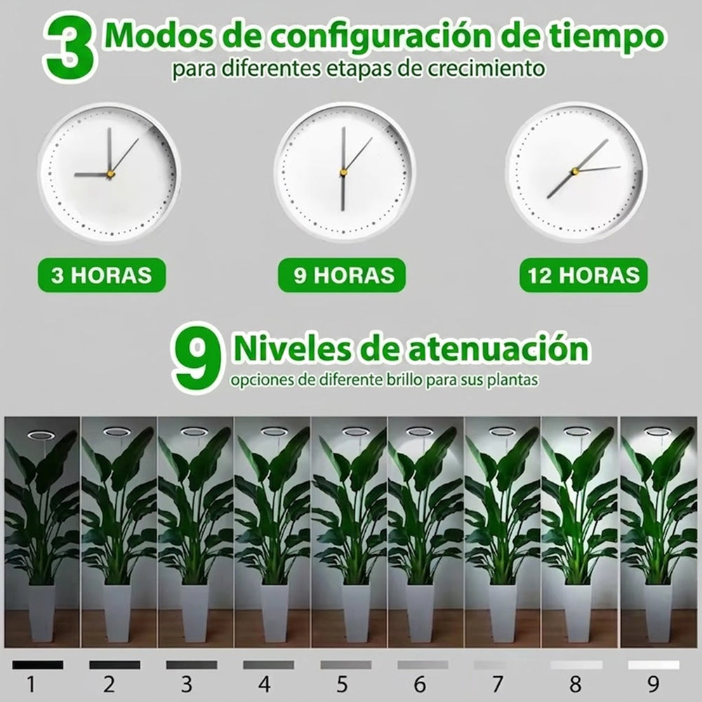 PlanTeraa
