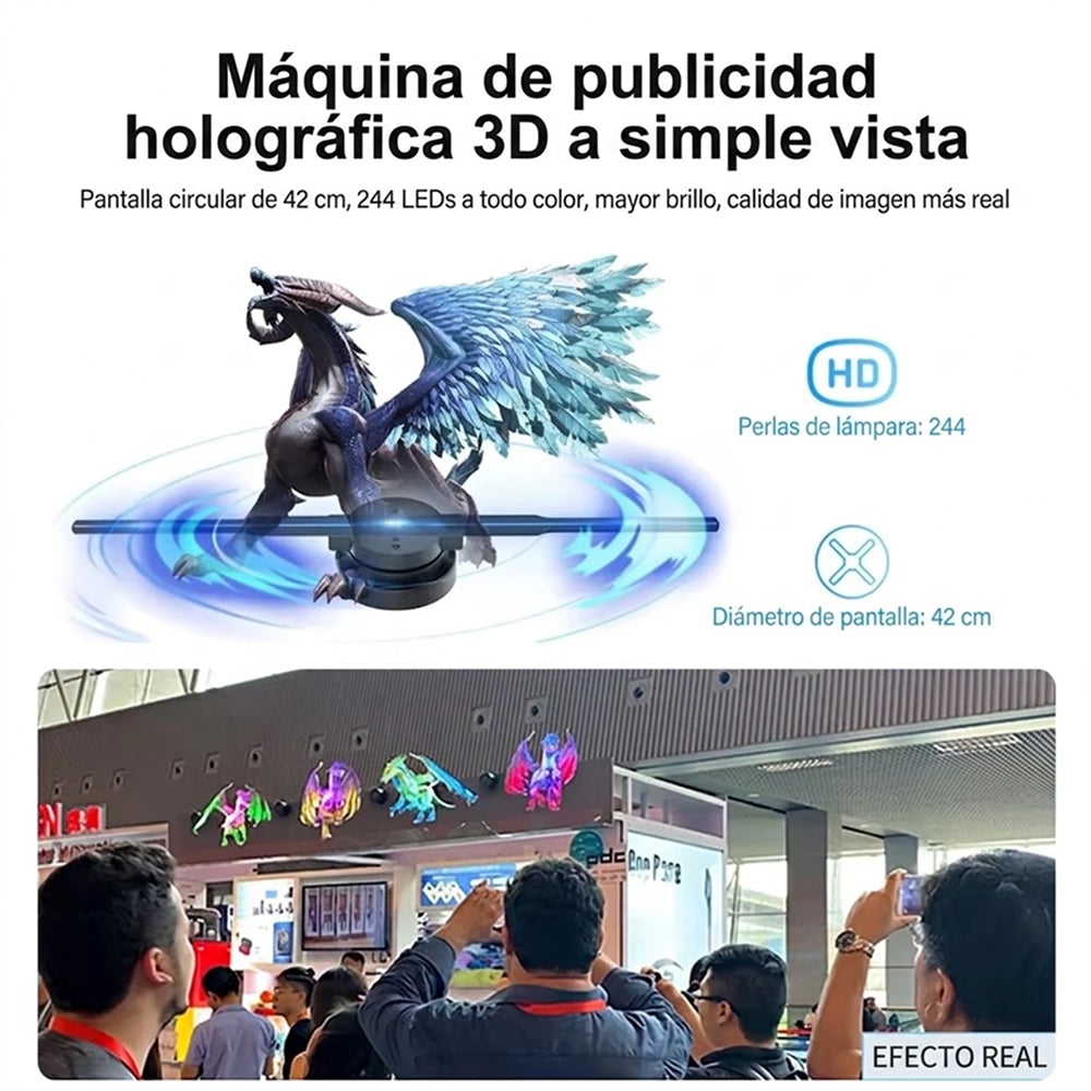 Holovoxy