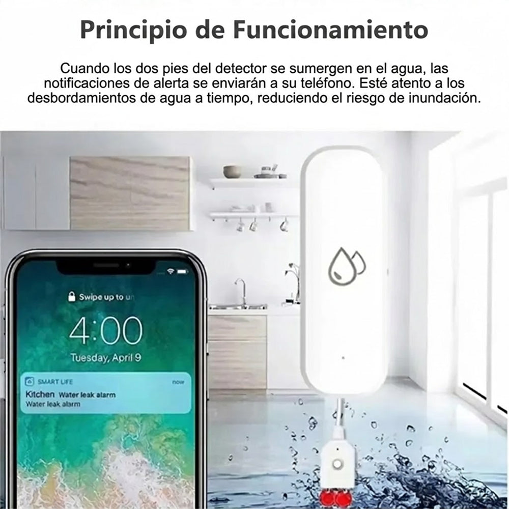 FlowSentri
