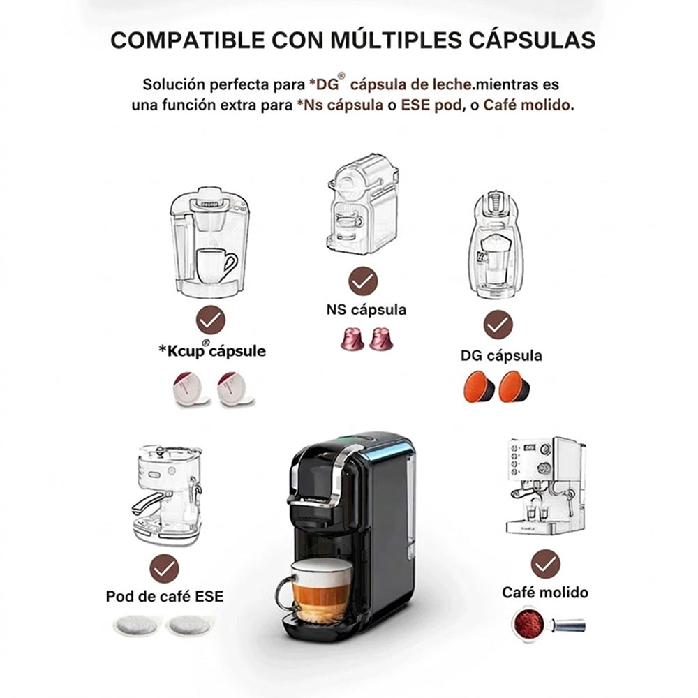 BrewNexi
