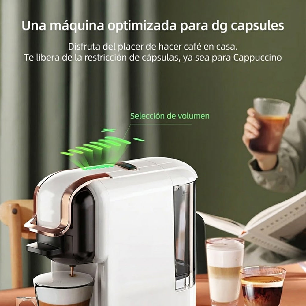 BrewNexi