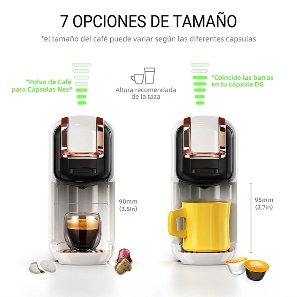 BrewNexi