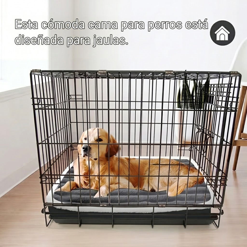 CushyWofie