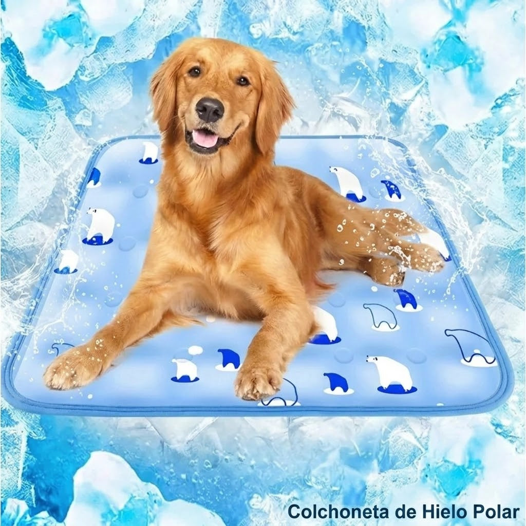 GlaciPup
