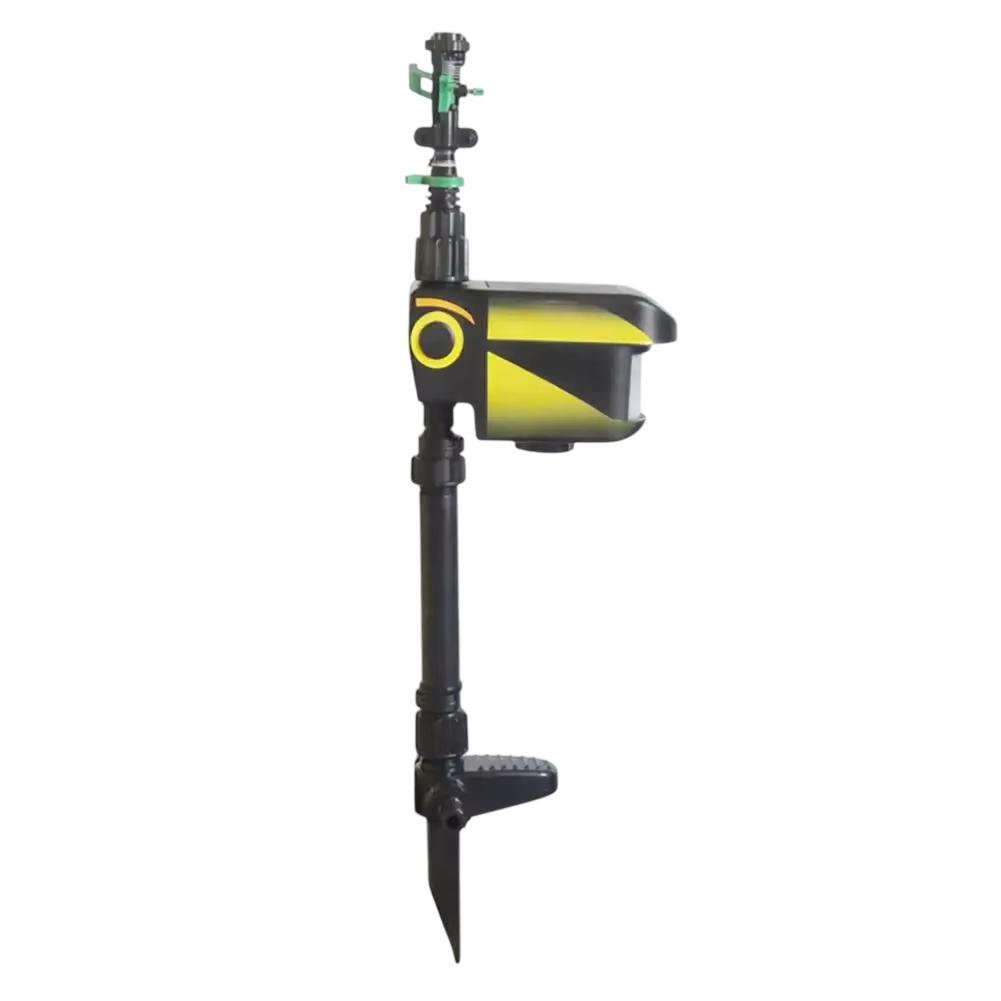 Sprynxie